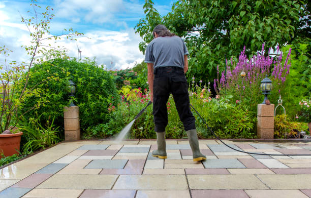 Best Restaurant Pressure Washing  in Rtez, CO